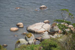 2011-10-27_11-56-17_DSC_5140.jpg