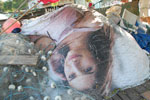 2011-10-27_17-38-46_DSC_5150.jpg