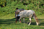 2011-10-27_17-46-50_DSC_5153.jpg