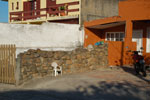 2011-10-27_18-02-16_DSC_5160.jpg