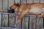 2011-10-27_18-06-16_DSC_5175.jpg