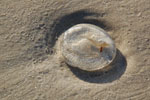 2011-10-27_18-09-03_DSC_5187.jpg