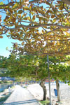 2011-10-27_18-25-25_DSC_5243.jpg