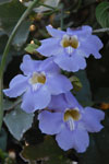 2011-10-27_18-58-35_DSC_5306.jpg