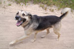 2011-10-28_13-28-13_DSC_5330.jpg