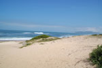 2011-10-28_13-30-08_DSC_5333.jpg