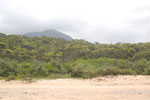2011-10-28_13-34-55_DSC_5377.jpg