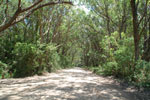 2011-10-28_13-36-48_DSC_5382.jpg