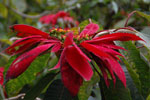 2011-10-29_15-54-30_DSC_5497.jpg