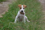 2011-10-29_15-57-45_DSC_5541.jpg
