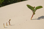 2011-10-30_16-04-04_DSC_5646.jpg