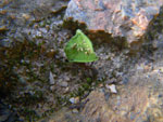 2011-10-30_18-40-32_IMGP9161.jpg