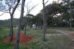 2011-11-01_18-57-37_DSC_5823.jpg