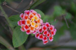 2011-11-01_18-59-53_DSC_5825.jpg