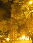 2011-11-03_20-54-51_IMGP1777.jpg
