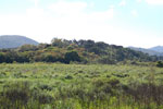 2011-11-04_09-26-49_DSC_6051.jpg
