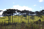 2011-11-04_09-28-51_DSC_6057.jpg