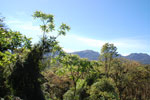 2011-11-04_09-55-47_DSC_6073.jpg