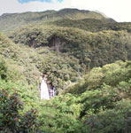 2011-11-04_10-25-24_DSC_6110-pan.jpg