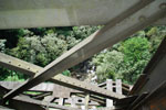 2011-11-04_10-34-07_DSC_6142.jpg