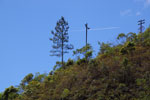 2011-11-04_11-28-59_DSC_6177.jpg