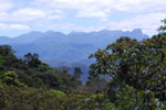 2011-11-04_11-29-06_DSC_6179.jpg