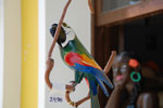 2011-11-04_12-37-01_DSC_6245.jpg