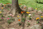 2011-11-04_13-50-45_DSC_6307.jpg