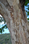 2011-11-04_14-06-44_DSC_6316.jpg