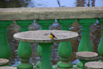2011-11-04_14-13-32_DSC_6325.jpg