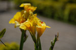 2011-11-04_14-41-40_DSC_6364.jpg