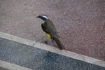 2011-11-04_14-52-30_DSC_6371.jpg