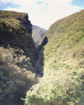 2011-11-04_16-13-07_DSC_6501-pan.jpg