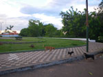2011-11-06_18-15-55_IMGP2081.jpg