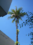 2011-11-07_10-15-47_IMGP2100.jpg