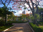 2011-11-07_17-46-32_IMGP2133.jpg