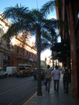 2011-11-08_17-02-52_IMGP2185.jpg