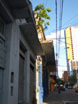 2011-11-08_17-49-26_IMGP2217.jpg