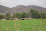 2011-11-11_08-37-46_DSC_6699.jpg