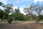 2011-11-12_17-00-45_DSC_7056.jpg