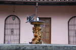 2011-11-12_17-10-55_DSC_7060.jpg