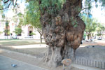 2011-11-12_17-40-40_DSC_7112.jpg