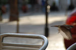 2011-11-12_18-32-43_DSC_7184.jpg