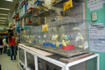 2011-11-12_19-34-33_DSC_7209.jpg
