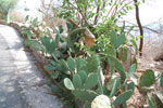 2011-11-13_15-53-32_DSC_7312.jpg