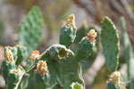2011-11-13_15-53-42_DSC_7313.jpg