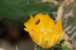 2011-11-13_15-54-16_DSC_7321.jpg
