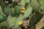2011-11-13_15-55-27_DSC_7324.jpg