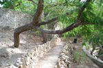 2011-11-13_16-03-57_DSC_7341.jpg