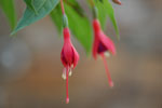 2011-11-13_16-04-47_DSC_7344.jpg